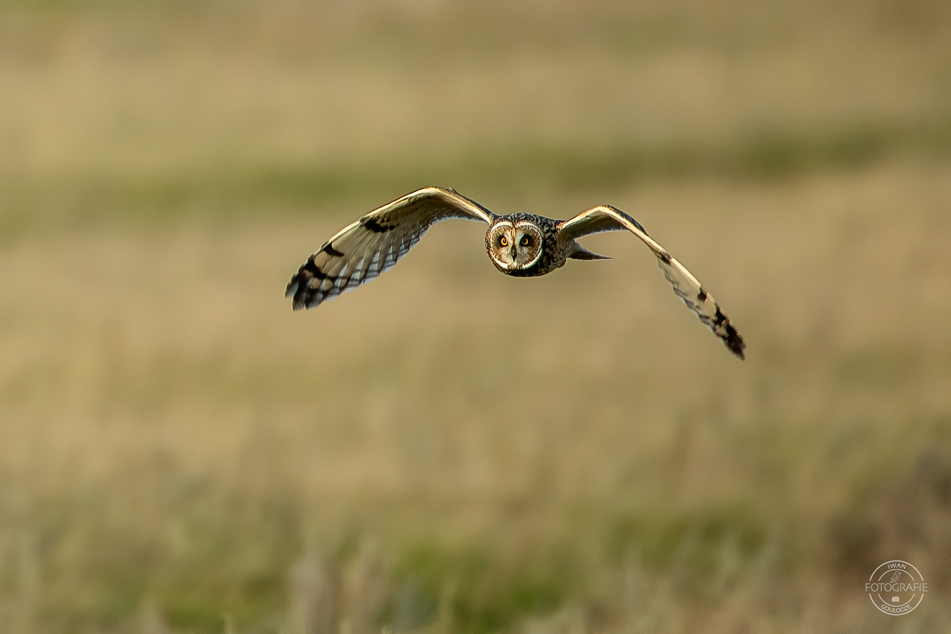 16 oktober 2022 165709 1R2A3168 bewerkt